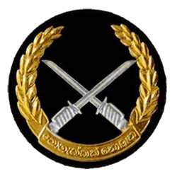 Special Forces Logo