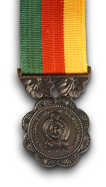 North and East Operations Medal