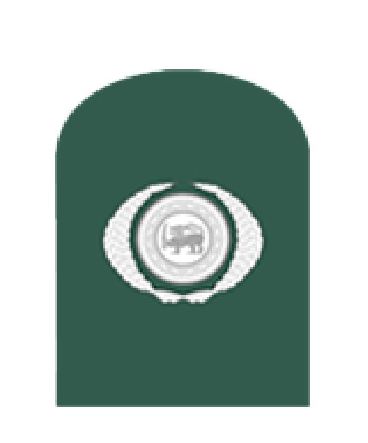 Warrant Officer Class I