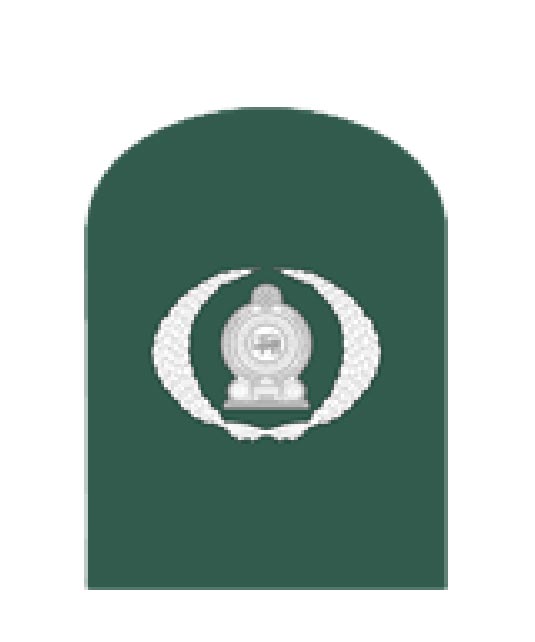 Warrant Officer Class II