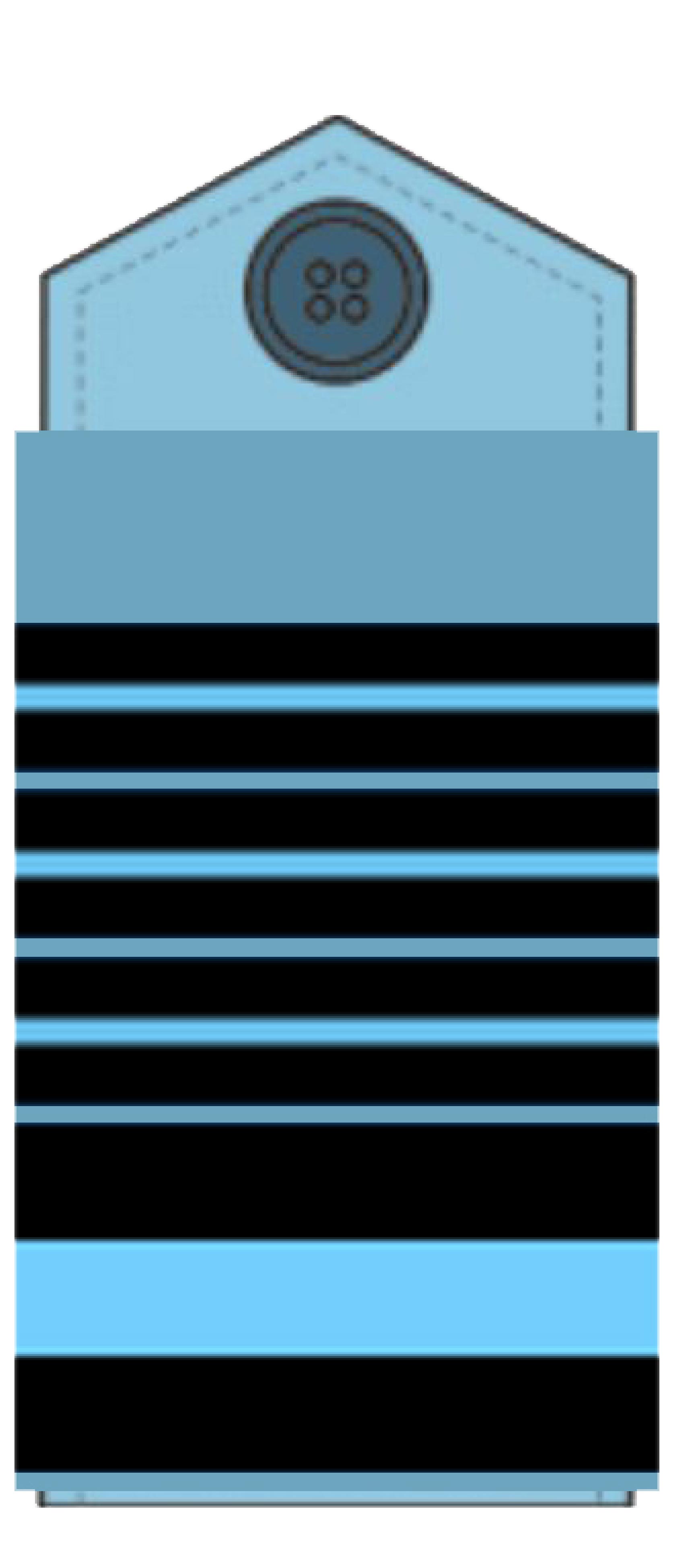 Air Chief Marshal