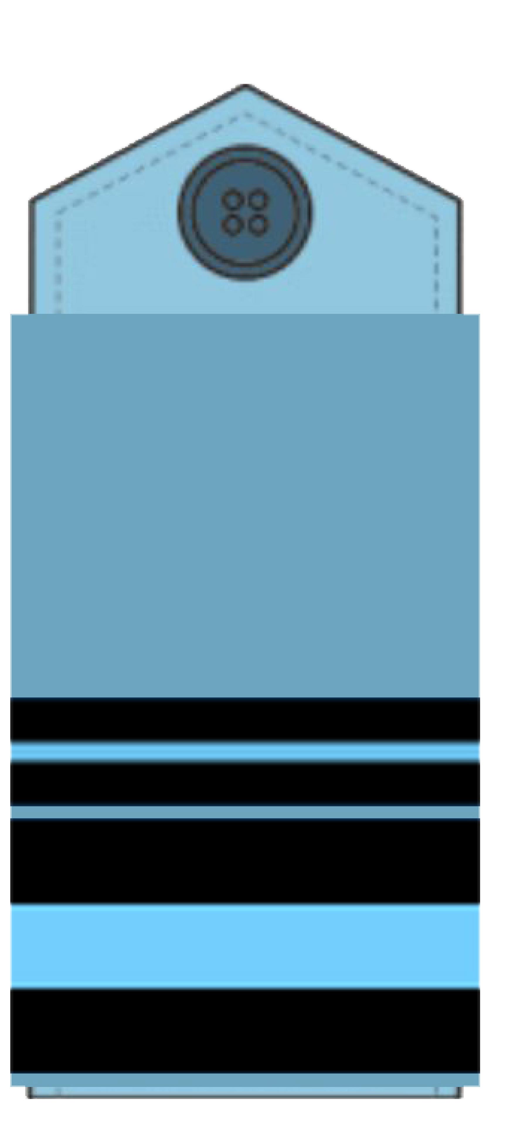 Air Vice Marshal