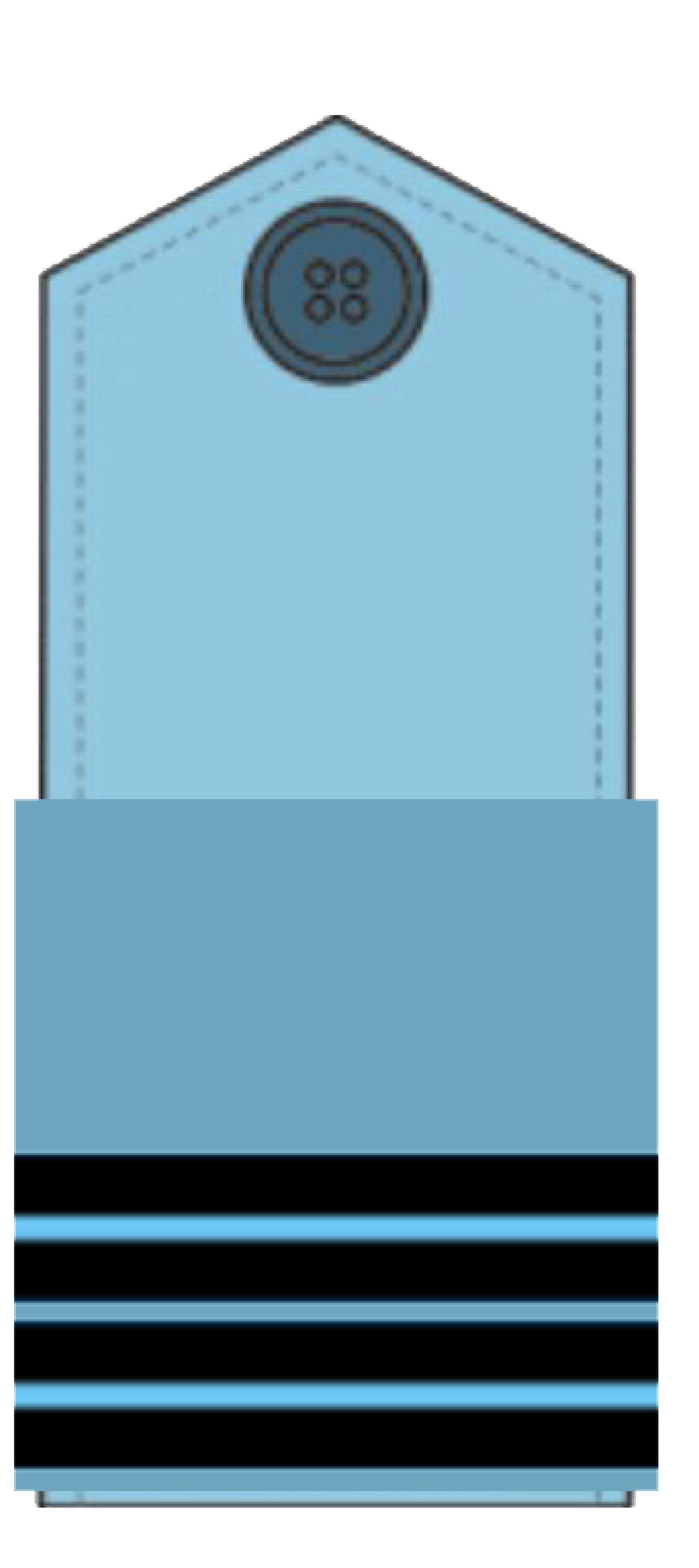 Flight Lieutenant
