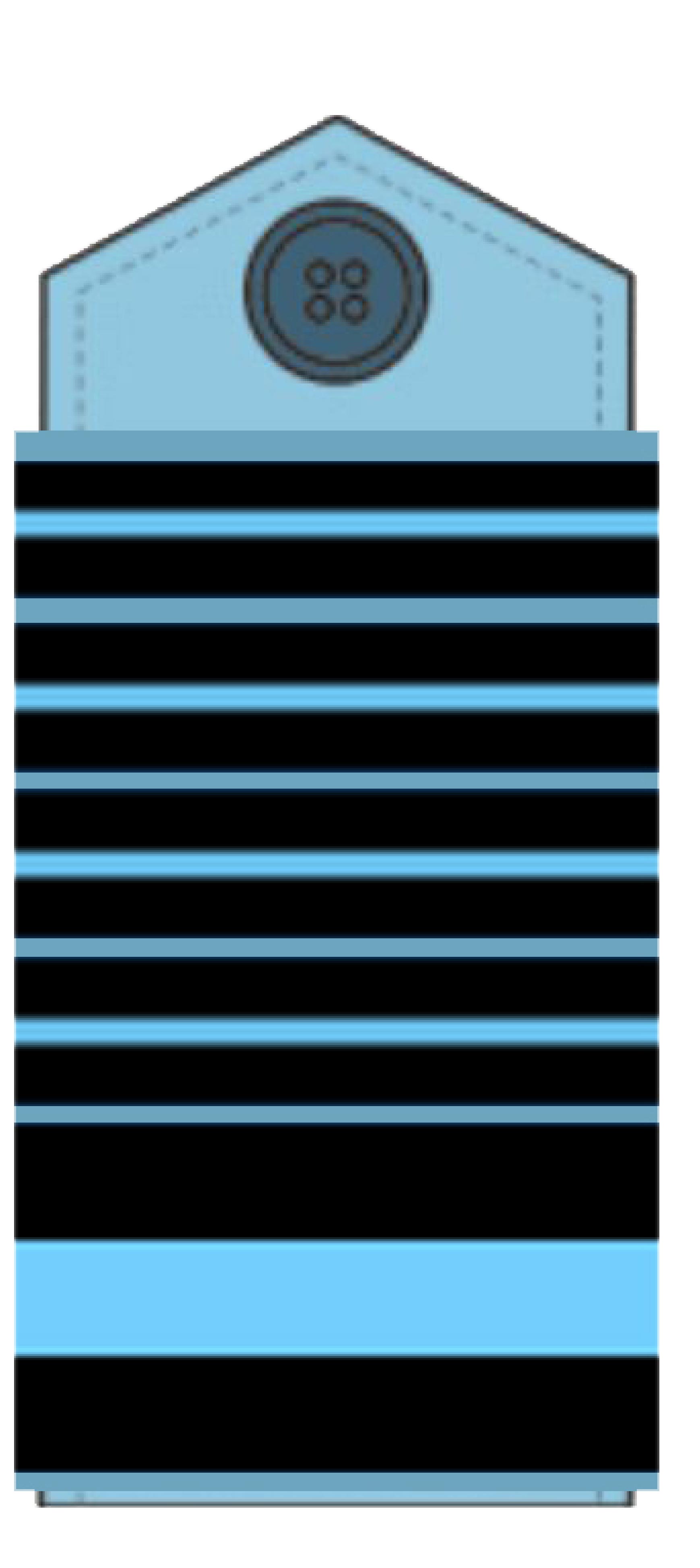 Marshal of the Air Force