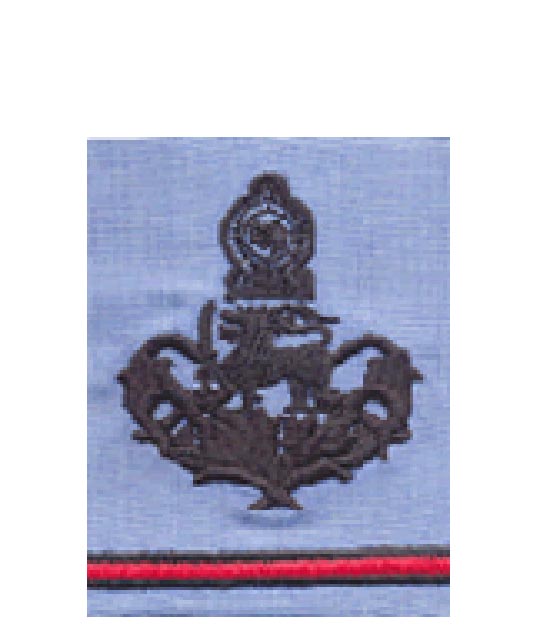 Master Warrant Officer