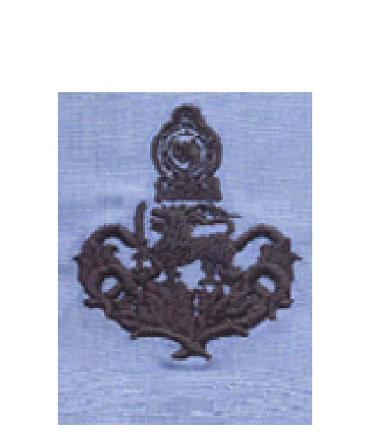 Warrant Officer