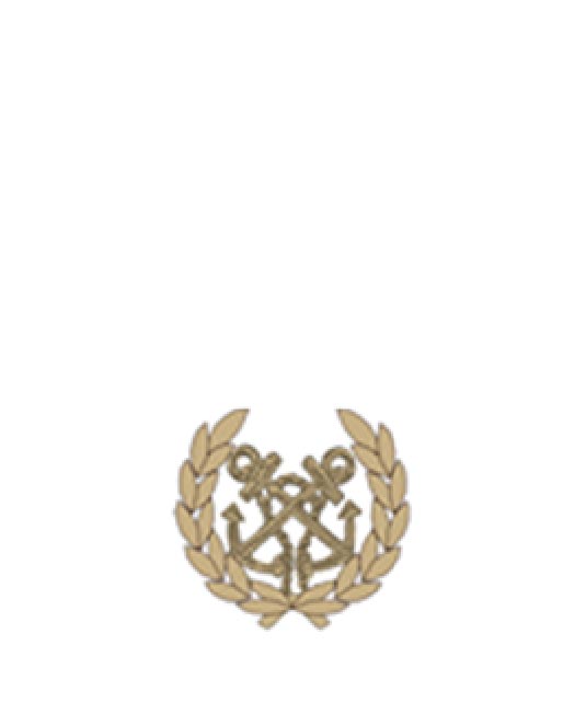 Chief Petty Officer