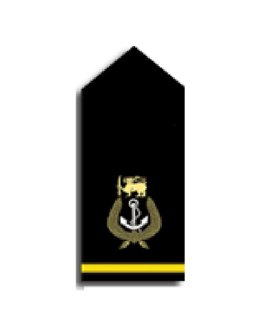 Fleet Chief Petty Officer