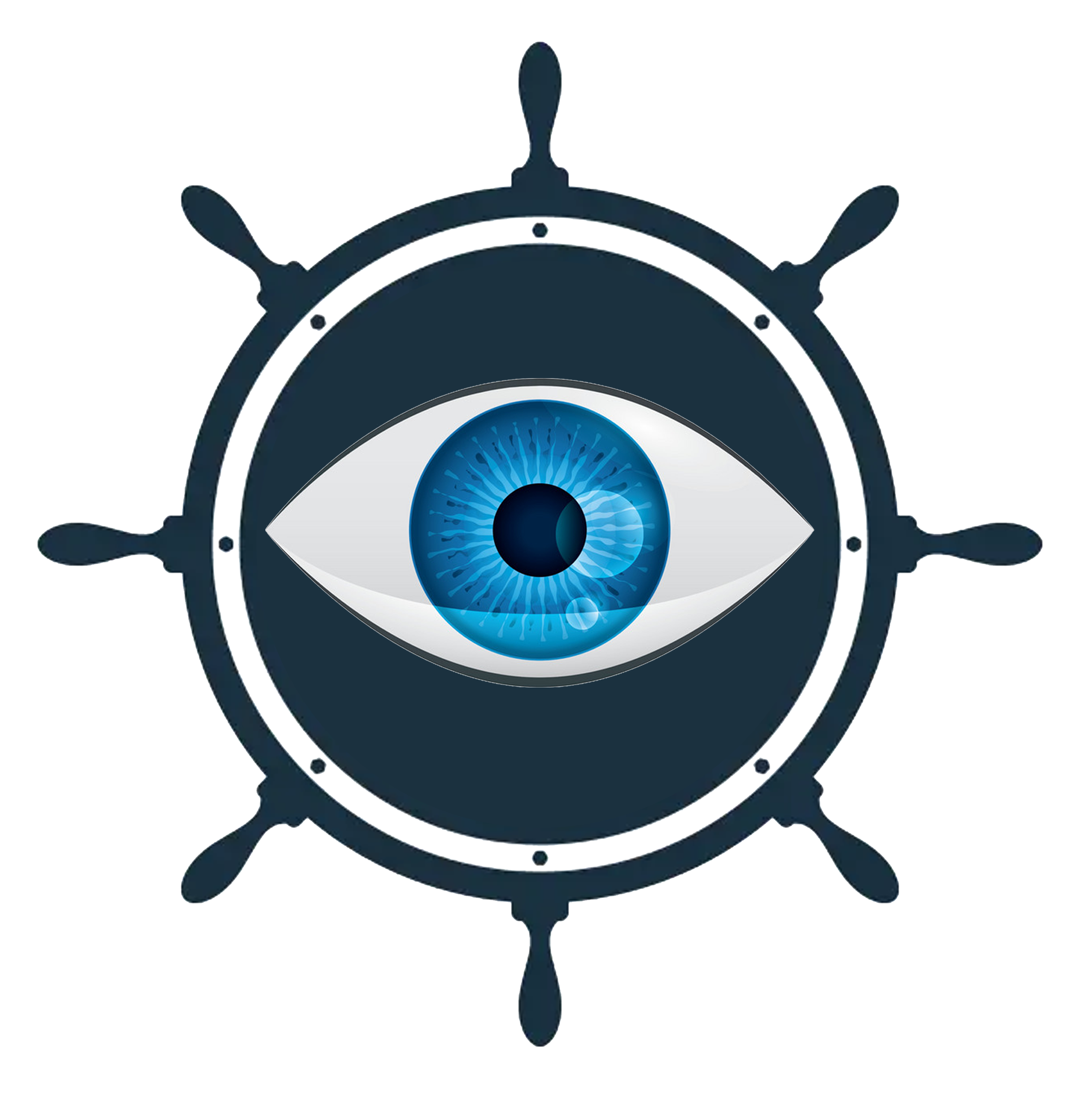 Vision